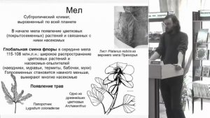 ? Дробышевский С. Динозавры.Ч.2. Вопросы и Ответы. Video ReMastered.