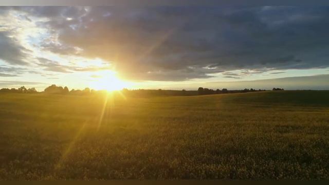 С Добрым утром и хорошего настроения! смотреть онлайн