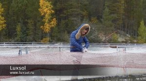 Разведение рыбы в садках
