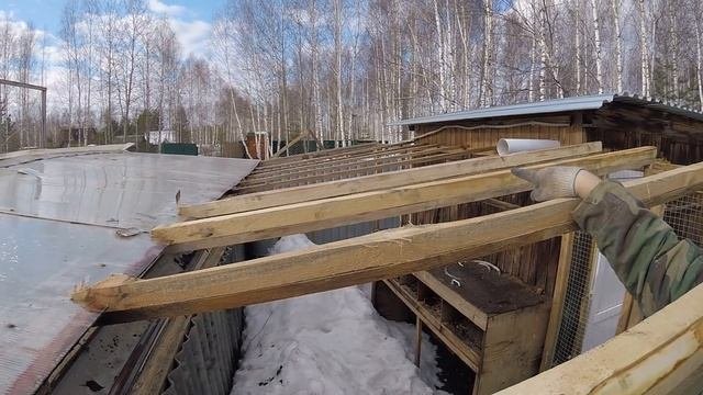 Суточные крольчата,сажаем лук, новая крыша, забрал коробку. влог кроли кровля