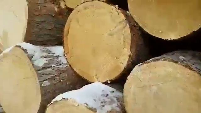 ООО «Сибирский Кедр» - штабель круглого леса смотреть онлайн