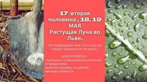 ЛУННЫЙ КАЛЕНДАРЬ ОГОРОДНИКА и САДОВОДА НА МАЙ 2021. Что и когда сажать по Луне?
