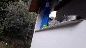 АБХАЗИЯ СЕНТЯБРЬ 2021 ПОСЁЛОК ГРЕБЕШОК ЖАДНЫЕ И ЗЛЫЕ МЕСТНЫЕ ЖИТЕЛИ?