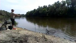 Ловля чехони на фидер на Хопре