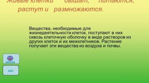 Презентация "Жизнедеятельность клетки"  обзор (19 слайдов)