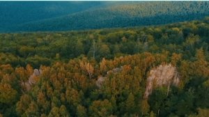 Алексей Ищенко "Мы Дальний Восток"