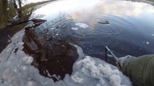 река Волхов рыбалка(Лещи на крокодил!)