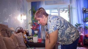 Снегири-герои.