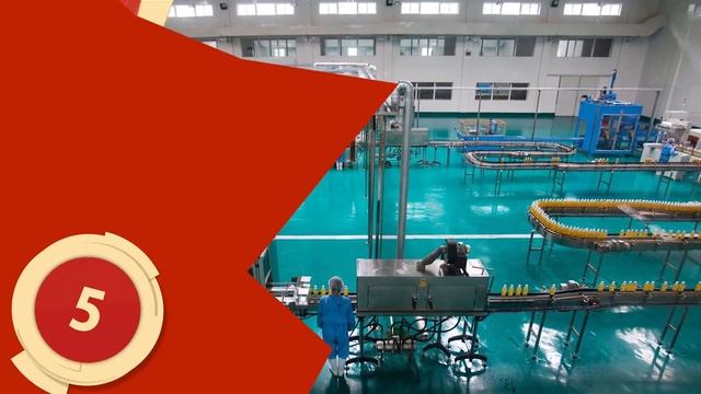 Top 10 SHOCKING Facts About NORTH KOREA смотреть онлайн