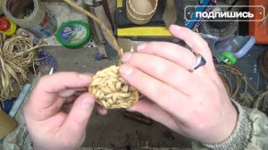 Плетение из соснового корня