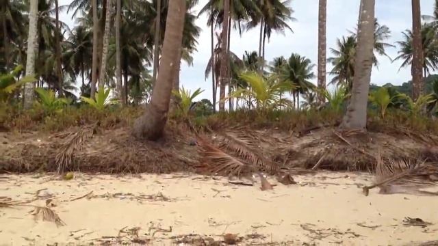 Сумасшедший привет из Тайланда :)) смотреть онлайн