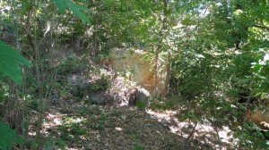 Поездки в Ольговку. Херсонская область, Бериславский район.