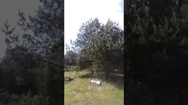 Я и мои путешествия по Московской области #1 смотреть онлайн