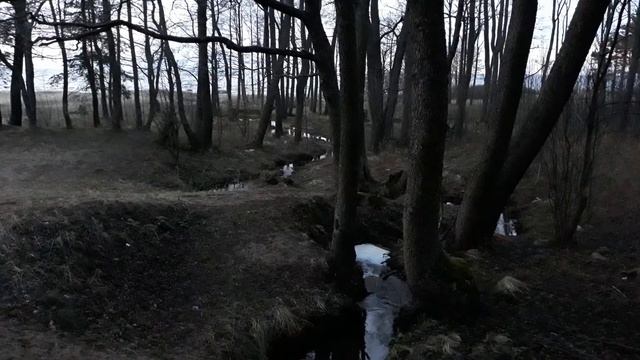 Город Сосновый Бор деревня Ручьи. смотреть онлайн