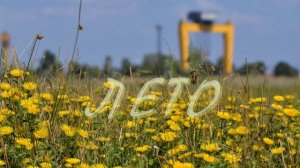 Волгодонск. Времена года.