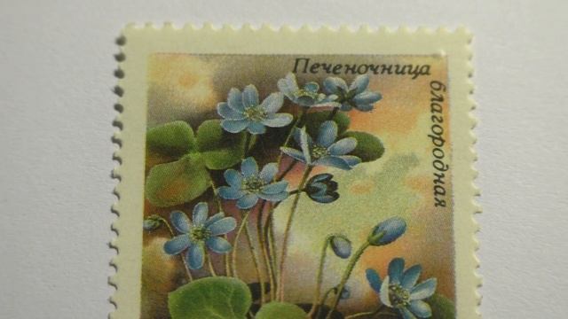 Почтовая марка. Почта СССР. 1983 г. Печеночница благородная