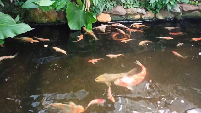 Июнь - начало лета. смотреть онлайн