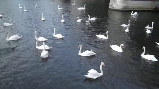 Fujifilm finepix AV180 Movie Test 720p смотреть онлайн