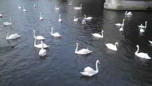 Fujifilm finepix AV180 Movie Test 720p