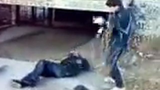 Beliy Volk смотреть онлайн