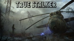 S.T.A.L.K.E.R.: Call of Pripyat + мод True Stalker | Янтарь уже не тот...