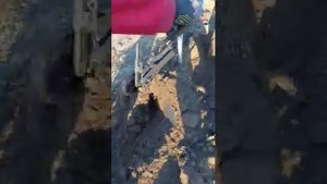 Гибридный мотоблок и навесное оборудование, испытания в реальных условиях.