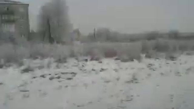 ФИРМЕННЫЙ ПОЕЗД 