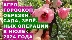 Агрогороскоп обрезки сада, зелёных операций в июле 2024Agrohoroscope for pruning the garden of green