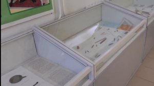 Саргатская археологическая культура в районном ист. кр.музее