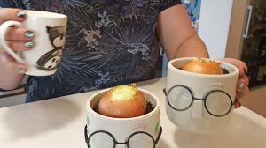 Лук на подоконнике. В земле или на воде? Свой против магазинного