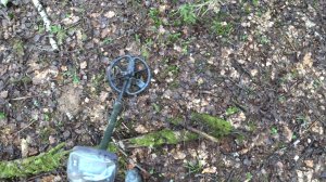 Петровские монеты. Серебро. Находки на старой дороге.