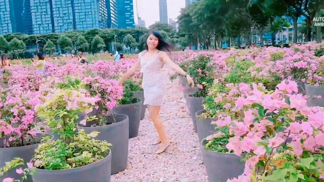 Bougainvillea Park Singapore|(Clips)||Update смотреть онлайн