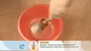 Как согнуть лист гипсокартона