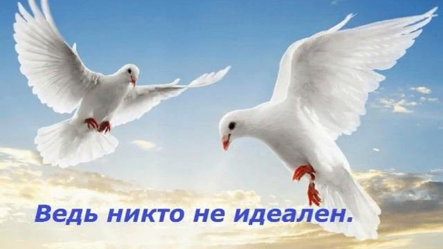 Видео на прощёное воскресенье//Поздравление на прощённое воскресенье 2021