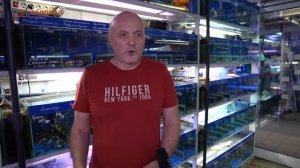 Птичий рынок в ТК "Садовод". Как выбрать аквариумных рыбок