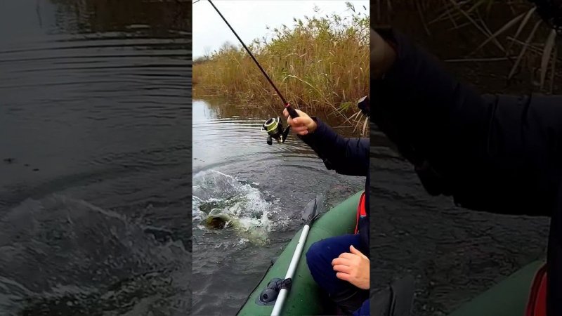 КОГДА со ЩУКОЙ на ПРЯМОЙ СВЯЗИ!!! ПРИСОЕДИНЯЙТЕСЬ!!!  #рыбалка #ловлящуки #fishing