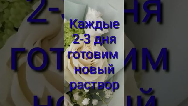 Как дольше, сохранить букет цветов!( секрет успеха )