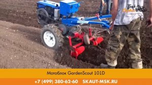 Мотоблок Garden Scout 101D