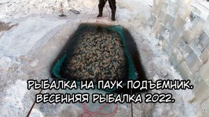 Рыбалка на паук подъемник. Весенняя рыбалка 2022. Столько рыбы я еще не видел!