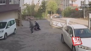 Собака укусила девушку жест ???