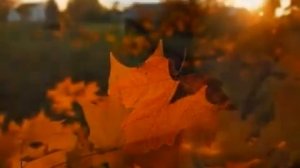 Малая антология бардовской песни. Галина Хомчик.   После бала, Никого не пощадила эта осень