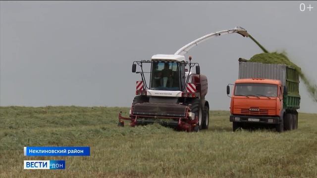 Уборка 2020. Кормоуборочный комбайн RSM F 2550 на Донских полях