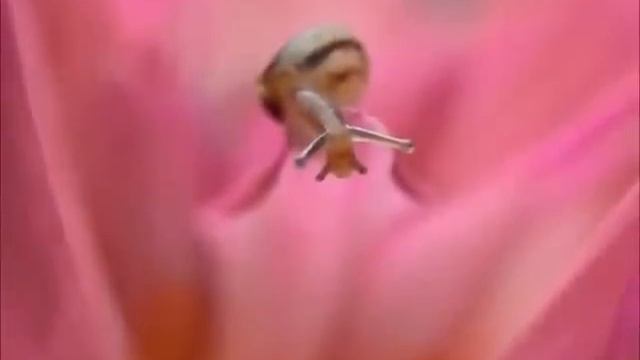 Snail-explorer by artist Vyacheslav Mishchenko - смотреть онлайн