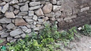 цовкра-1 Прогулка по селу (часть1)