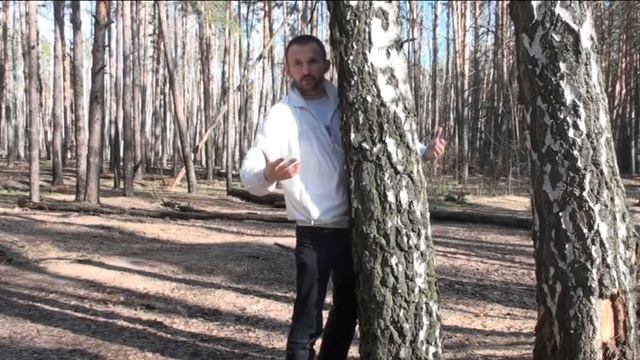 Цигун Работа с ци дерева Очищение ауры энергией дерева Очистительный цигун смотреть онлайн