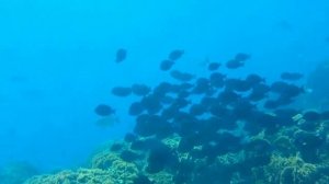 Съемки под водой