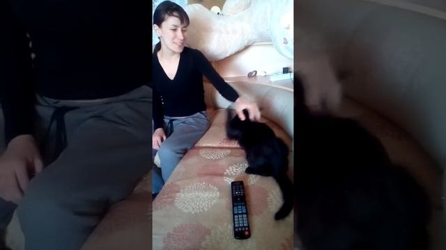 Котэ нападает на людей. Жесть. 18+ смотреть до конца смотреть онлайн