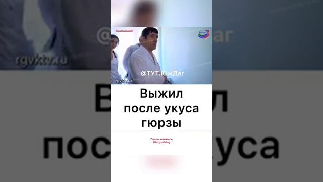 Выжил после укуса гюрзы. Лезгин смотреть онлайн