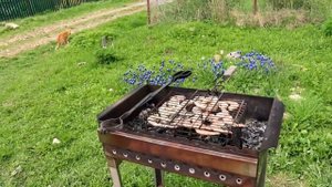 Быстрое и изысканное блюдо на мангале.