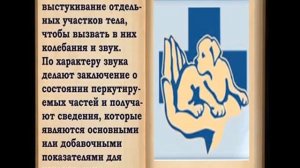 Осмотр животного у ветеринара